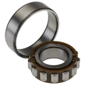 SKF Cylindrical Roller Bearing 25 mm Inside Diameter 52 mm Outside Diameter Shielded N 205 ECP