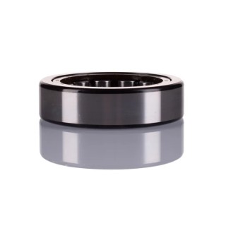 SKF Cylindrical Roller Bearing, 46.2 mm Inside Diameter, 80 mm Outside Diameter, 21 mm Race Width, Open End RNU 307 ECP