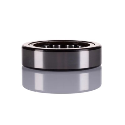 SKF Cylindrical Roller Bearing, 46.2 mm Inside Diameter, 80 mm Outside Diameter, 21 mm Race Width, Open End RNU 307 ECP