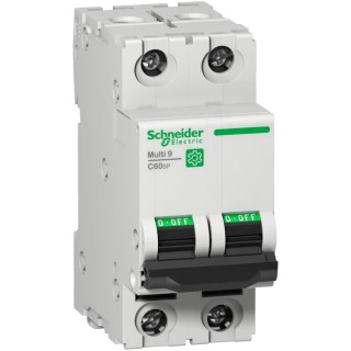 Schneider Electric Miniature Circuit Breaker 2-Pole 6A Type D 125 V DC 14 kA Breaking Capacity Multi9 