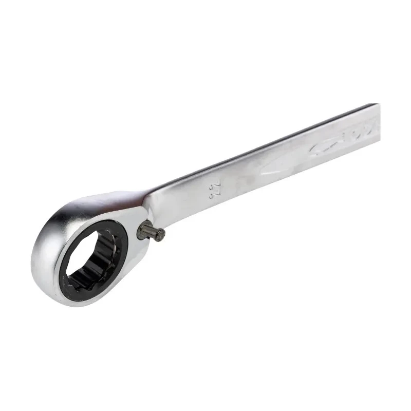 Bahco Ratchet Spanner 22 mm, 290mm Overall Length, Alloy Steel Chrome Finish 1RM-22