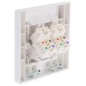 Molex CES White Telephone Socket 2 RJ45 Punch Down 2 Gang 22-28 AWG CAT 5e Angled Faceplates 214-9753