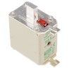 SIBA 160A NH Fuse NH00 690V High Rupture Capacity Blade Type NH00 Fuse NH00