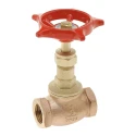 Valsteam ADCA Bronze Globe Valve Female Screw 32 bar 198°C 551261
