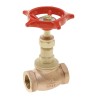 Valsteam ADCA Bronze Globe Valve Female Screw 32 bar 198°C 551261