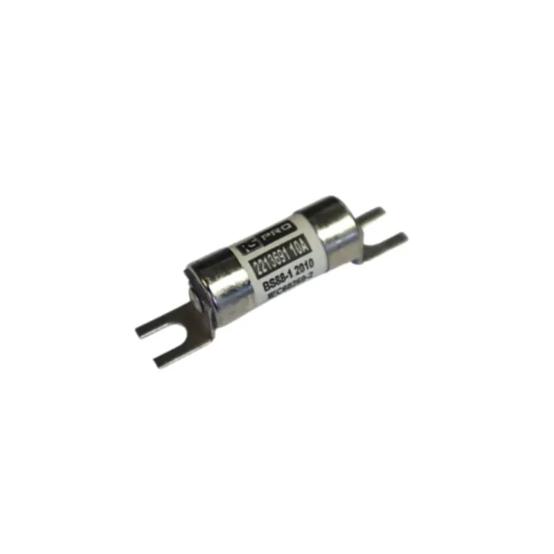 RS PRO 10A Slotted Tag Fuse A1 415 V AC, 250 V DC, 44.5 mm 221-3691