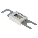 Littelfuse 160A Grey and White Ceramic Fast Acting Car Fuse 48V DC 157.5701.6161
