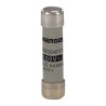 Mersen 10A GG Ceramic Cartridge Fuse 8 x 32 mm 400V AC Ferrule Fuse-Links A214613 / FR8GG40V10