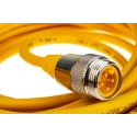 Turck Male 4 Way 7/8 In Circular Straight to Unterminated Sensor Actuator Cable 5 m RSM 40 -5M