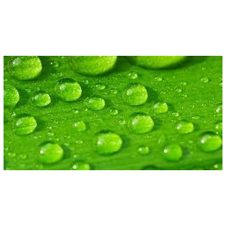 green-acid-acetic-acid-substitute-50-kg-28126