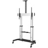 StarTech.com Portable TV Stand Mobile Support for Large Displays with VESA 1000x600 Compatibility STNDMTV100
