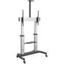 StarTech.com Portable TV Stand Mobile Support for Large Displays with VESA 1000x600 Compatibility STNDMTV100