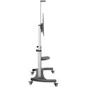 StarTech.com Portable TV Stand Mobile Support for Large Displays with VESA 1000x600 Compatibility STNDMTV100