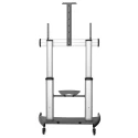 StarTech.com Portable TV Stand Mobile Support for Large Displays with VESA 1000x600 Compatibility STNDMTV100