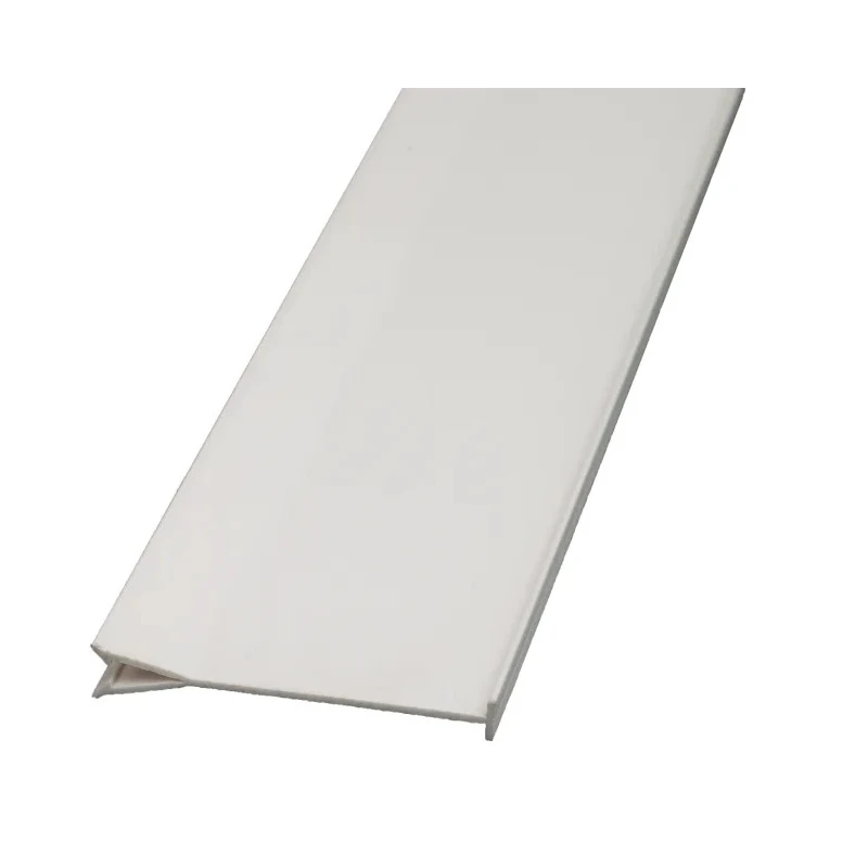RS PRO Polyvinyl Chloride Cable Trunking Separator Transparent 29 mm Height 8 mm Width 237-4044