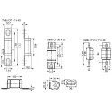 Mersen 45A British Standard Fuse 17 x 49 mm 690V Protistor Series D220964 / BS17GB69V45