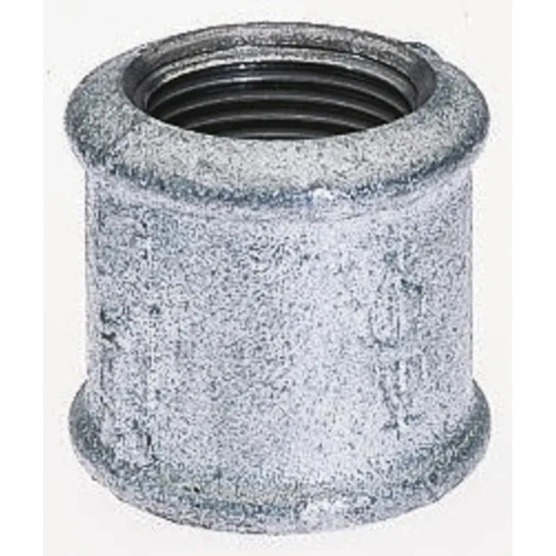 Georg Fischer Galvanised Malleable Iron Fitting Socket Female 1 in to Female 1 in 770270206