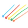 RS PRO Nylon 66 Non-Releasable Mixed Colour Cable Tie Kit 250 Pcs 165 mm x 2.5 mm 233-534