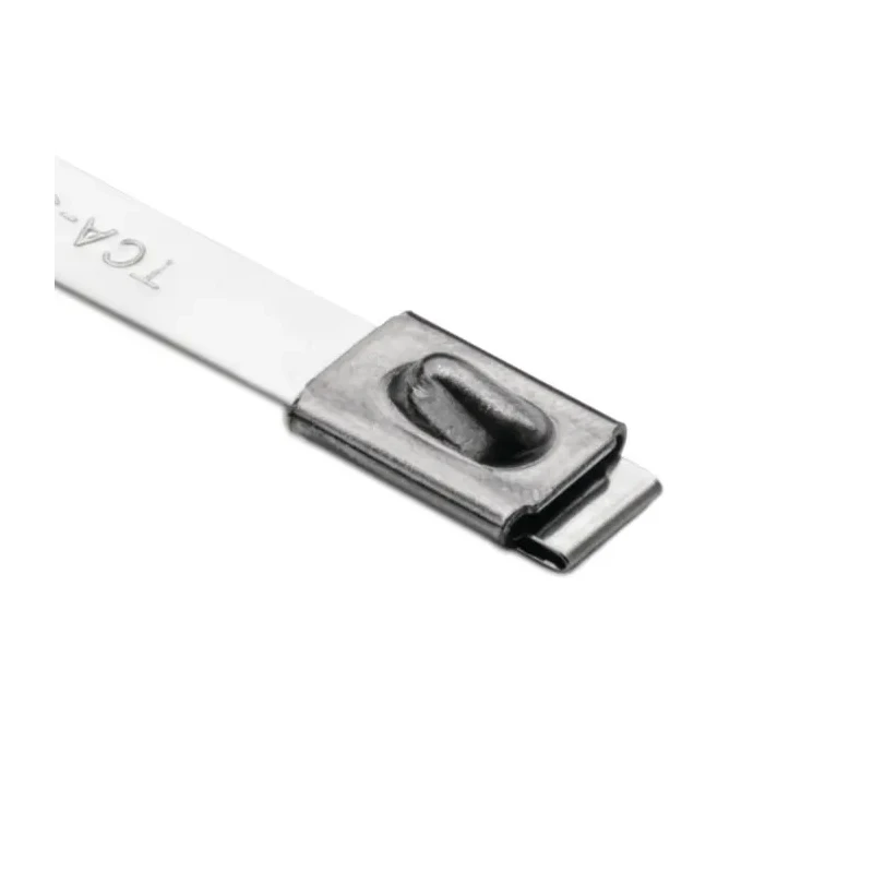 HellermannTyton Stainless Steel Cable Tie Roller Ball 685 mm Length x 7.9 mm Width, 2000N Tensile 111-94279 MBT27H-SS316-ML
