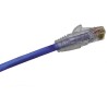 Molex CES Cat6 Ethernet Cable, Unshielded, Terminated, 2 m Length, Blue PVC Jacket, 24 AWG Stranded Copper Wire, 150V