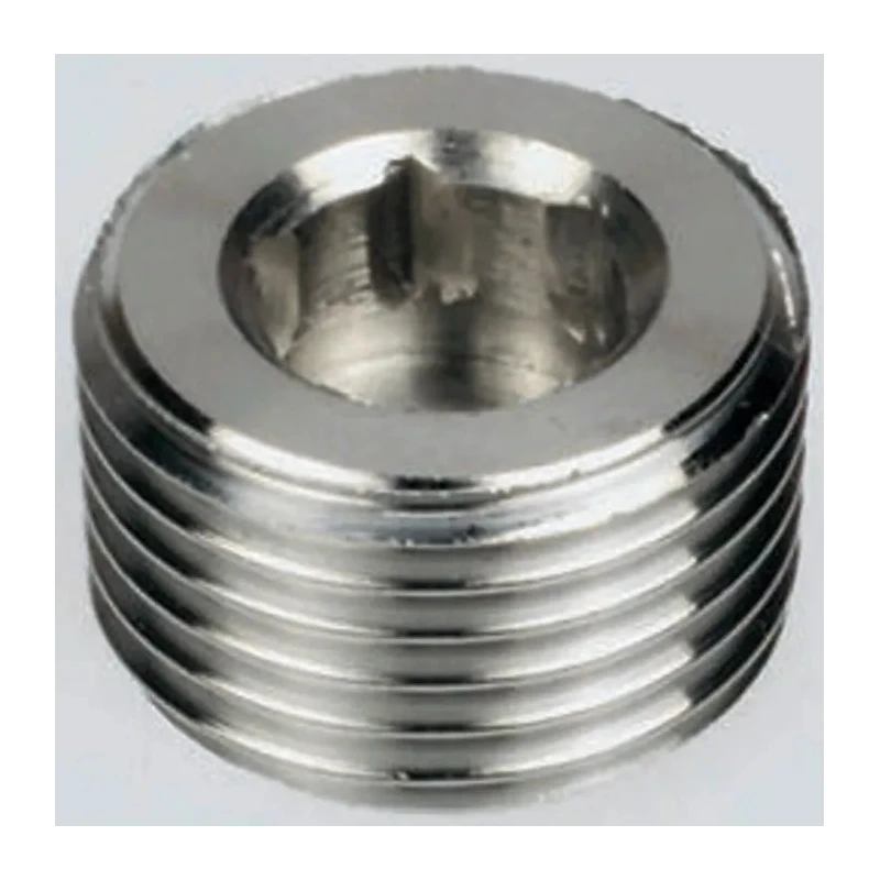Legris Pneumatic Stainless Steel Pipe Fitting Straight Hexagon Male Threaded Plug 3/8 in 0285 17 00