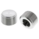 Legris Pneumatic Stainless Steel Pipe Fitting Straight Hexagon Plug Male Threaded 1/2 in 0285 21 00