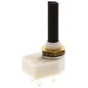 Lorlin 2 Position DPST Rotary Switch 4A Solder Terminal RMS1016