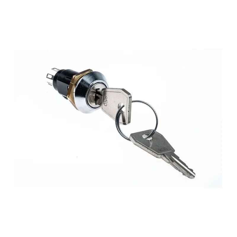 Lorlin Key Switch DPCO 1A 24V dc 240V ac 2-Position 2-Way Common Key Tapered Bezel SRL5MS2850