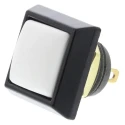 ITW Switches Miniature Push Button Switch, Momentary, Panel Mount, 13.6 mm Cutout, SPST, Clear LED, IP67, 125 V AC 59-214