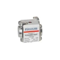 Mersen Square Body Fuse 100A Size 30 FF High Rupture Capacity 700V T300052 / PC30UD69V100TF