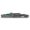 Pepperl + Fuchs Threaded Barrel Inductive Proximity Sensor M18 x 1 2-Wire 253V AC 30V DC 5 mm Detection NBB5-18GM60-WS