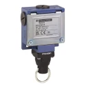 Telemecanique Sensors Cable Pull Rope Pull Switch IP66 Zamak Housing 240V AC 3A XY2CD111