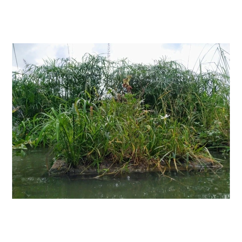  water-floating-islands-2