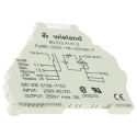 Wieland Flare Series Interface Relay DIN Rail Mount 230V AC Coil 6A SPDT Silver Alloy Contacts 80.010.4141.0