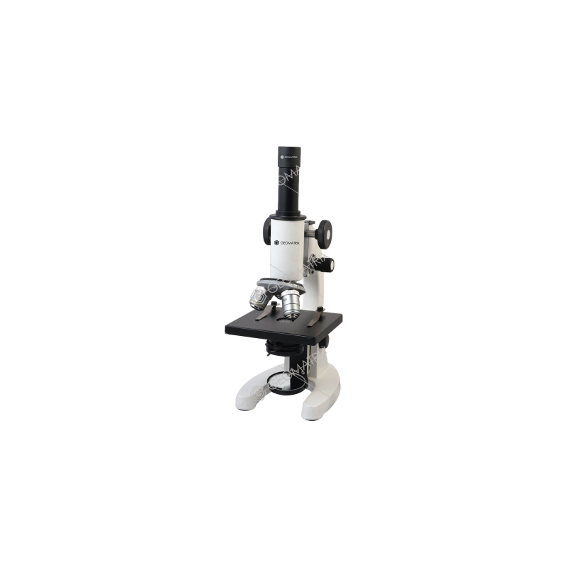 student-microscope-25395