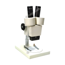 student-stereoscope-microscope-25410