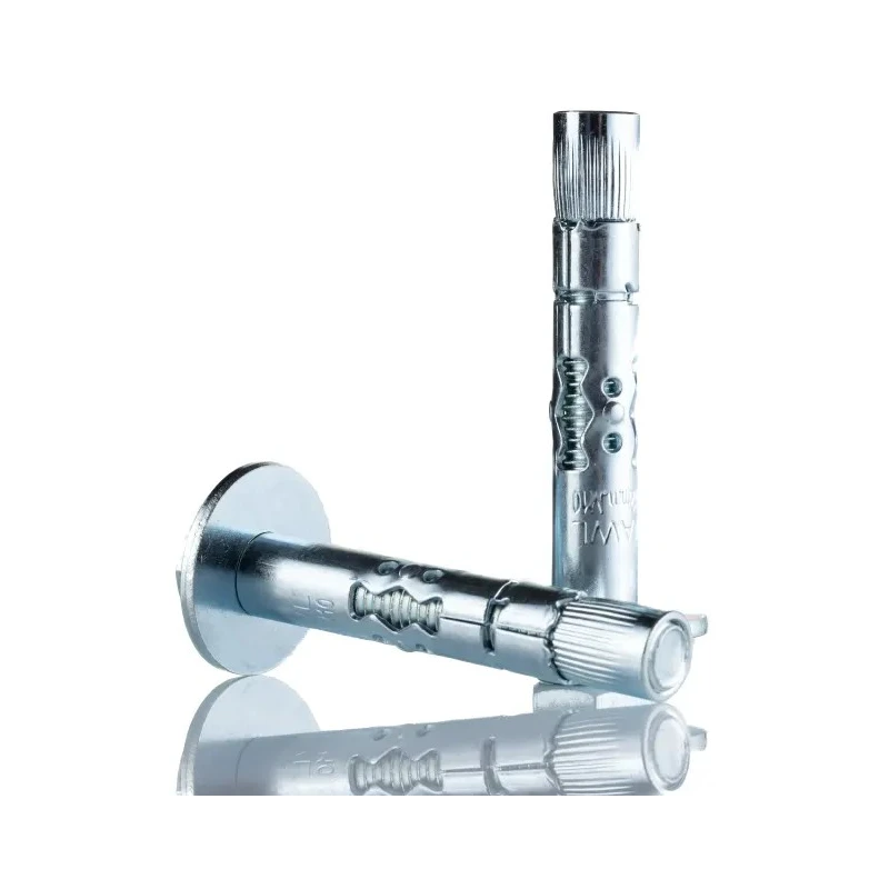 RawlPlug Carbon Steel Masonry Anchor Shield Loose Bolt M10 x 70 mm Zinc Plated R-RLK-L-10070