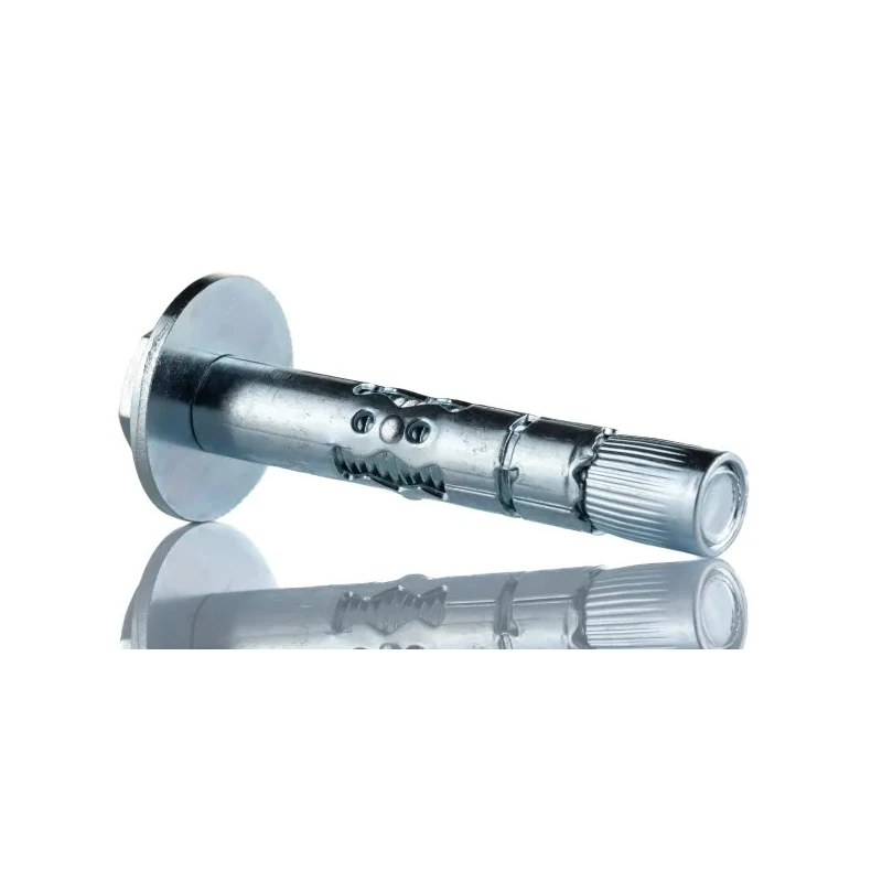 RawlPlug Carbon Steel Masonry Anchor Shield Loose Bolt M10 x 70 mm Zinc Plated R-RLK-L-10070