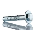 RawlPlug Carbon Steel Masonry Anchor Shield Loose Bolt M10 x 70 mm Zinc Plated R-RLK-L-10070
