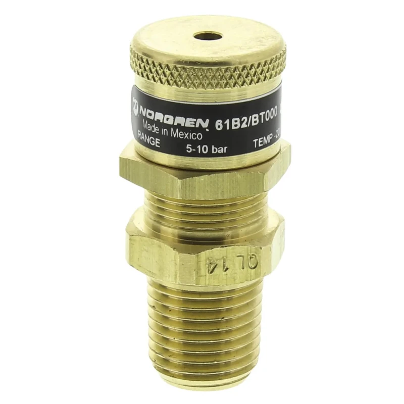 Norgren Quick Exhaust Valve 10 bar Brass Threaded Male A and B 1/4 in 61B2/BT000