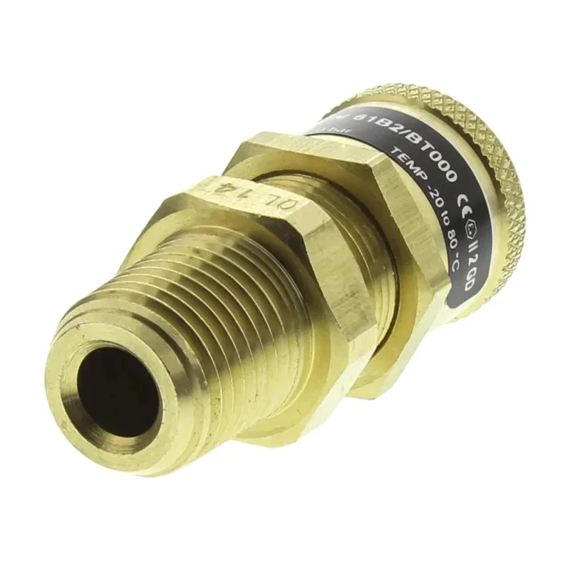 Norgren Quick Exhaust Valve 10 bar Brass Threaded Male A and B 1/4 in 61B2/BT000