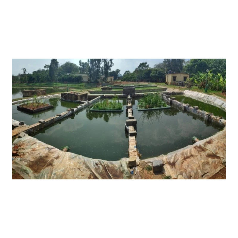  floating-treatment-wetlands-4