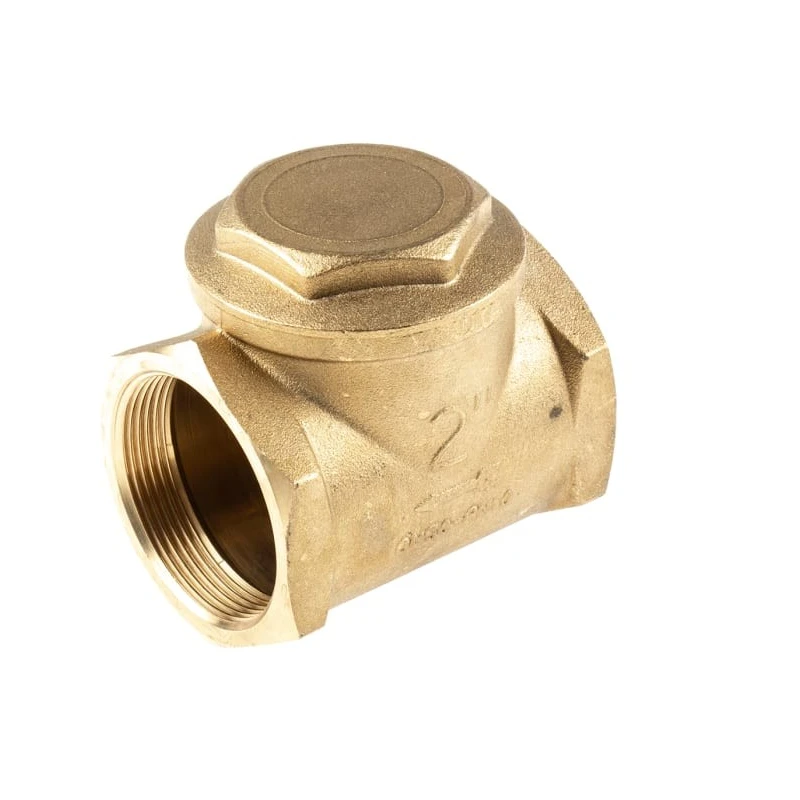 RS PRO Brass Threaded Single Check Valve 2 in BSPP 16 bar 486-182
