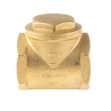 RS PRO Brass Threaded Single Check Valve 2 in BSPP 16 bar 486-182