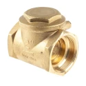RS PRO Brass Threaded Single Check Valve 2 in BSPP 16 bar 486-182