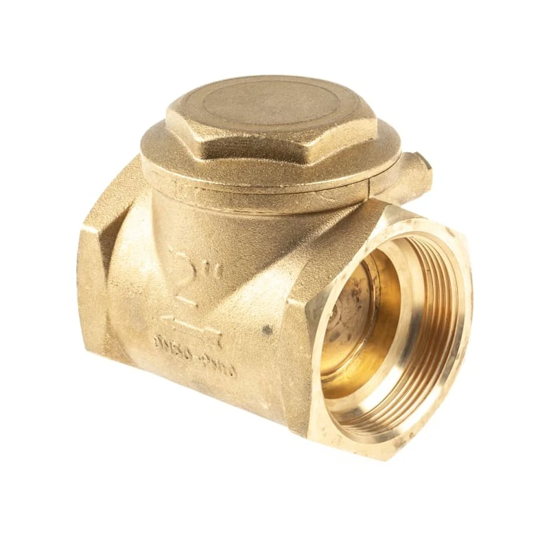 RS PRO Brass Threaded Single Check Valve 2 in BSPP 16 bar 486-182