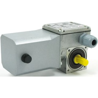 Mini Motor Brushed Geared DC Geared Motor 37W 24V DC 5.2Nm 35rpm 9mm Shaft Diameter BC2000 24 MP 80 B3