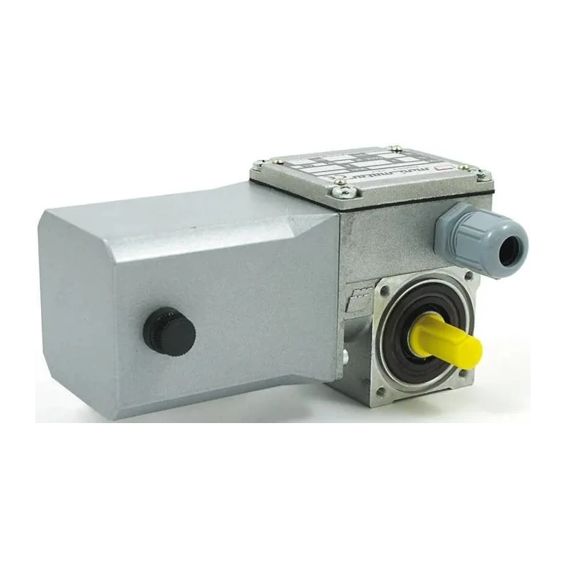 Mini Motor Brushed Geared DC Geared Motor 37W 24V DC 5.2Nm 35rpm 9mm Shaft Diameter BC2000 24 MP 80 B3