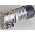 Mini Motor AC Geared Induction Motor 180W 3 Phase 230V/400V 24-Pole Worm Gear 10:1 Ratio PC 440M3T 10 B3