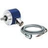 Baumer Female 12 Way M23 to Female Unterminated Sensor Actuator Cable, 10 m Z 130.007